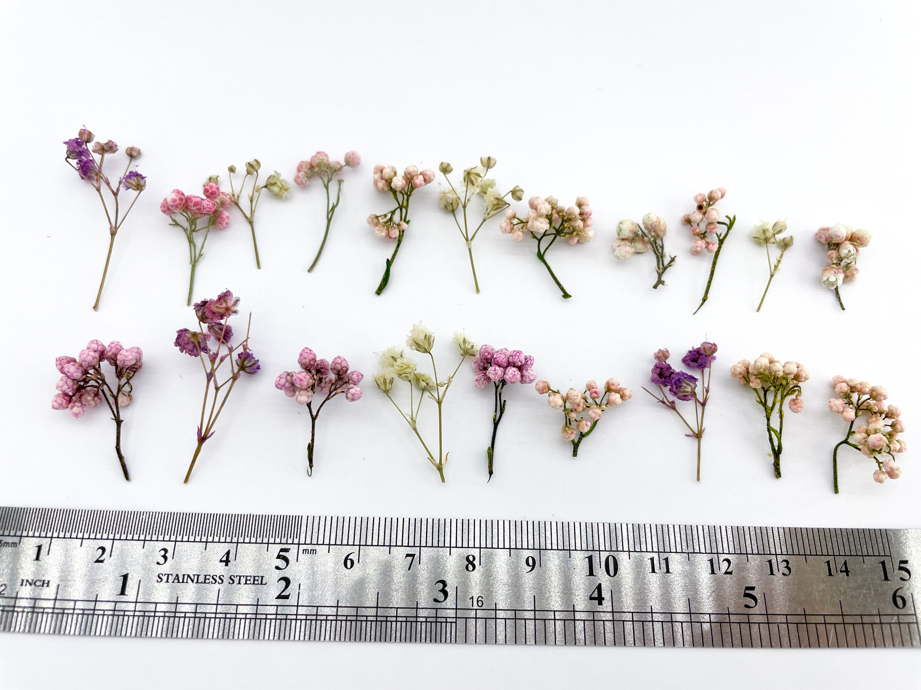 20 Pcs Mix of Dried Flowers for Resin Dry Flowers for Crafts Etsy
