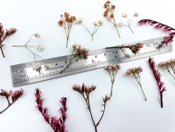 Small Dried Flowers,mix Dry Flowers,flowers for Resin Filling