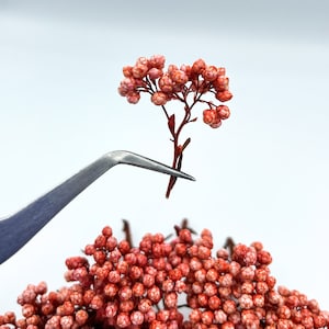 Orange Real Ozothamnus Flowers | Rice flower for resin jewelry making Tiny flowers for epoxy resin Home decor Small bouquets Hobby craft