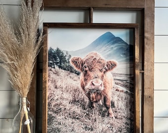 Hola Cutie Highland Cow