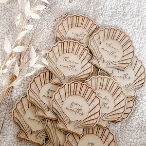 Colección de conchas marinas // GRABADO LÁSER Mes de nacimiento, Anuncio de nacimiento, Placa de bebé
