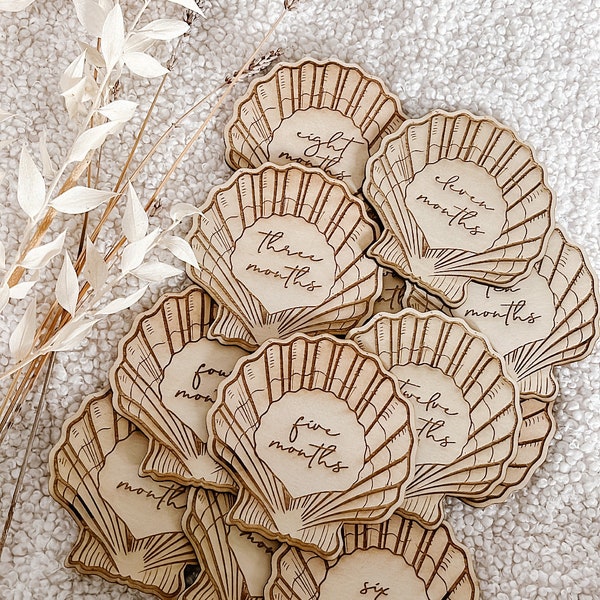 Engraved Shell - Etsy