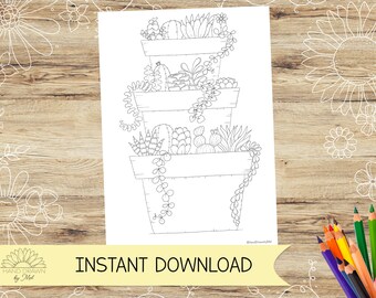 Cactus Display Colouring page for adults! Cacti, Succulent, Plant lover. Instant Digital Download PDF, Jpeg in A4 and US Letter