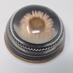 May include: A round, silver-coloured trinket box with a glass top. A dried pink flower is encased in the glass.