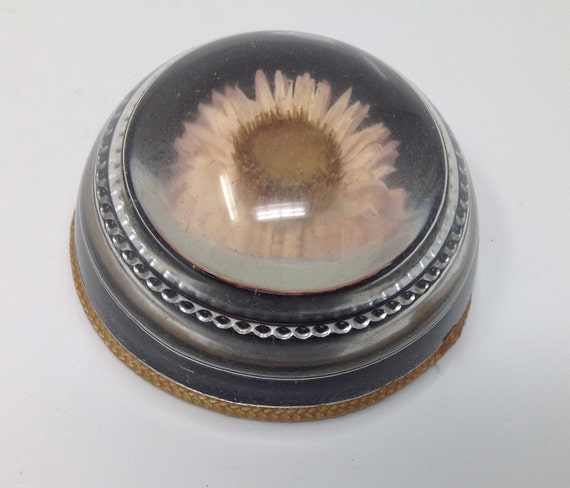 Vintage paperweight with pink strawflower inside