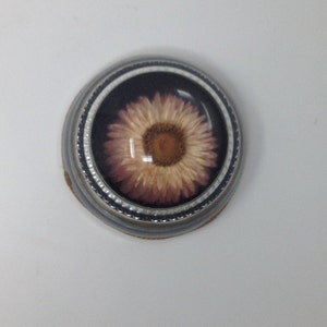 May include: A round, silver-coloured trinket box with a clear lid. The lid features a pressed flower with pink and white petals and a brown centre.