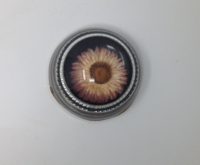 May include: A round, silver-coloured trinket box with a clear lid. The lid features a pressed flower with pink and white petals and a brown centre.