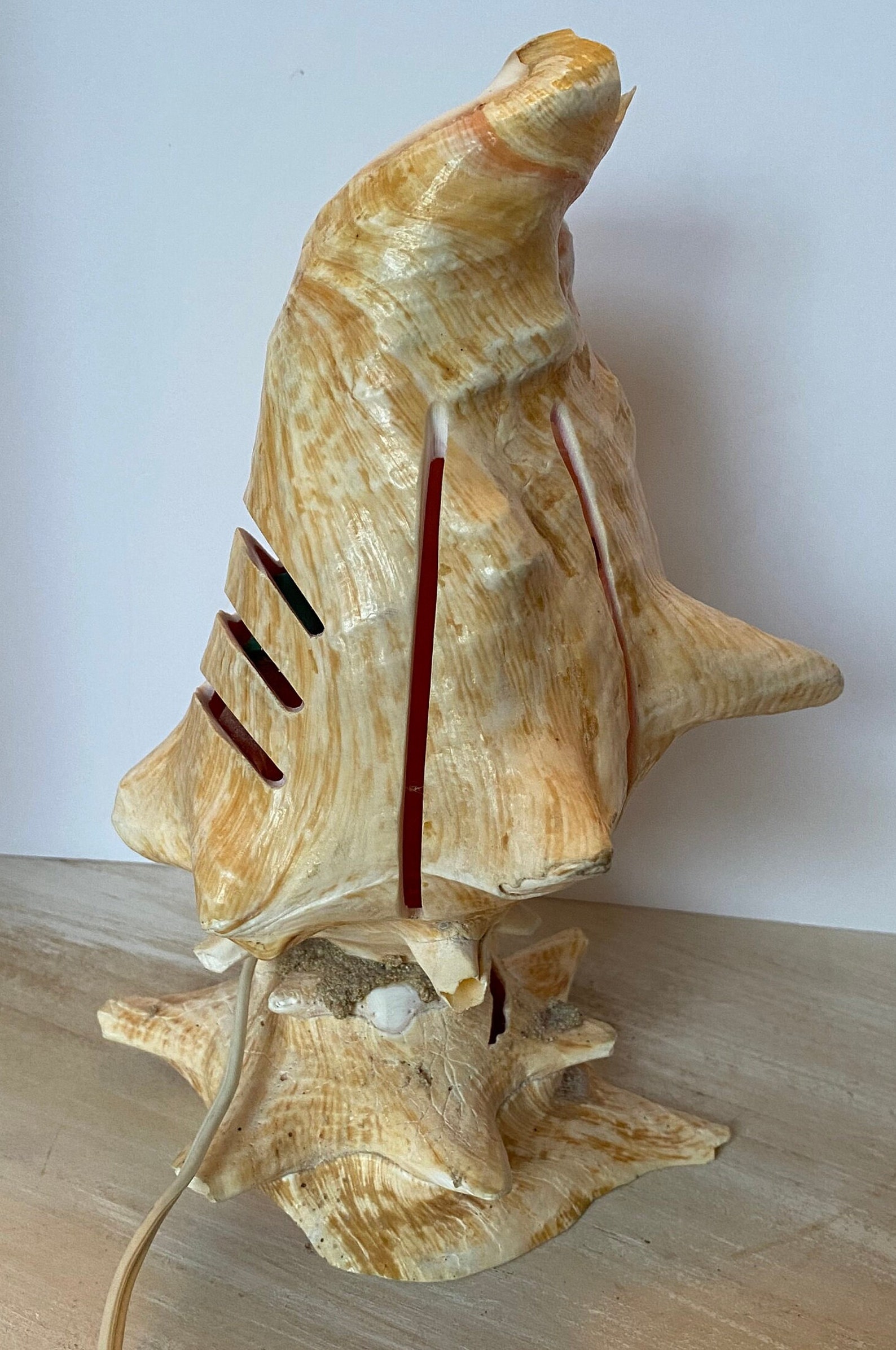 Vintage Conch Shell Light - Etsy