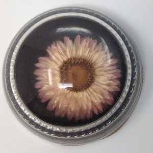 May include: A round, silver-coloured trinket box with a glass top. Inside the box is a pressed, dried pink flower with a brown centre.