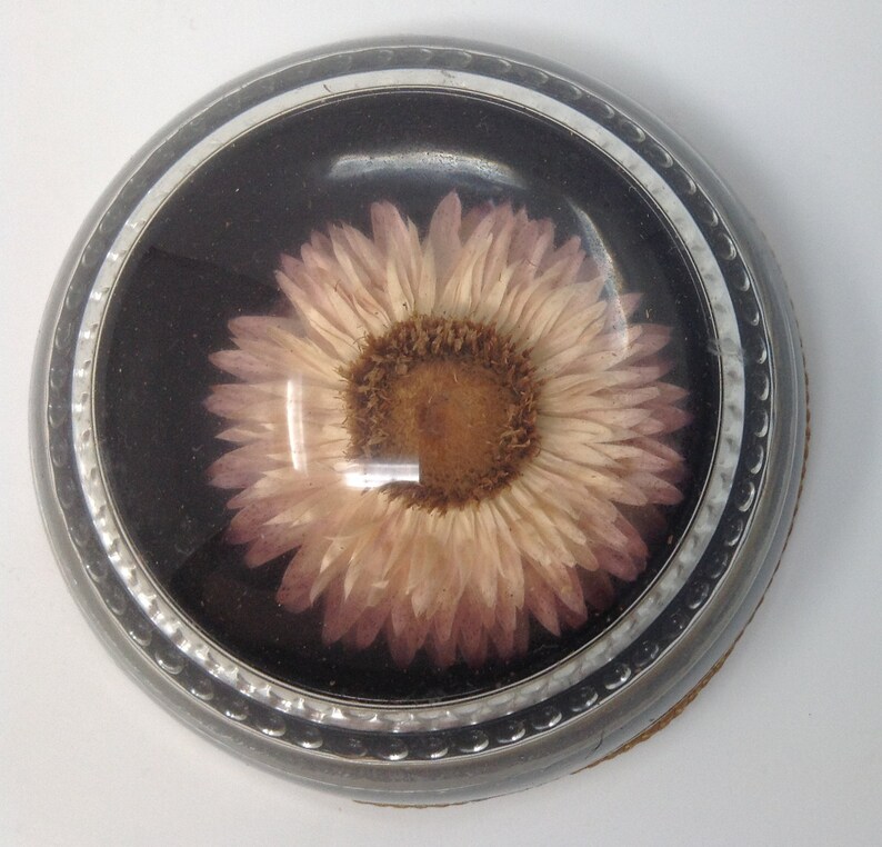 May include: A round, silver-coloured trinket box with a glass top. Inside the box is a pressed, dried pink flower with a brown centre.