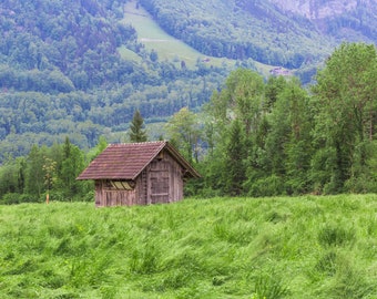 Rustic Mountain Cabin, Switzerland, Green Fields