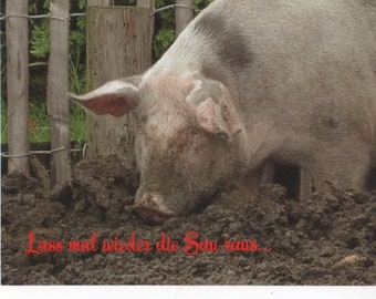Postcard "Let the Sow Go Again"