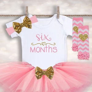 6 MONTH Birthday Outfit - Baby Girl Monthly Milestone - Half Birthday Outfit - Half Birthday Tutu - Baby Girl Birthday - 6 Month Photo Prop