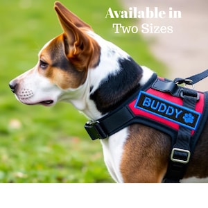 Custom Embroidered Dog Name Patch: Velcro Harness, Bag, Jacket