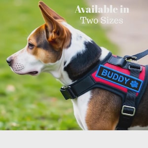 May include: A red and black dog harness featuring a rectangular patch with the name BUDDY and a blue paw print icon. The harness includes black straps, metal buckles, and a D-ring for a lead. The text Available in Two Sizes is visible.