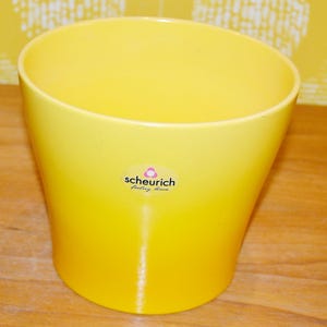 Può includere: Un vaso per piante giallo brillante, leggermente affusolato. Il vaso ha una finitura lucida e un piccolo adesivo ovale con il marchio "scheurich" in caratteri neri. Il vaso è vuoto e poggia su una superficie di legno.