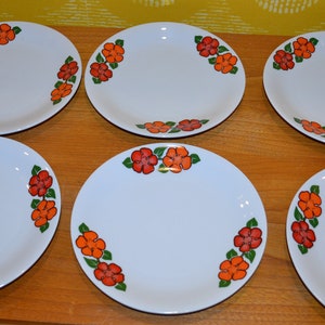 May include: Six white ceramic plates with a floral design. The plates have a white background with orange and green flowers around the edge.