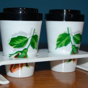 Vintage pepper and salt shaker set 70s salt shaker plastic roses roses salt and pepper