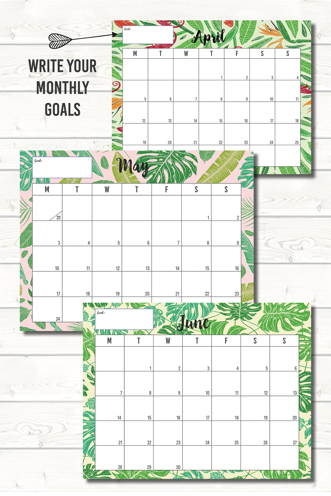 Printable Calendar 2021 Letter Size 85x11 Tropical 12 Month Etsy