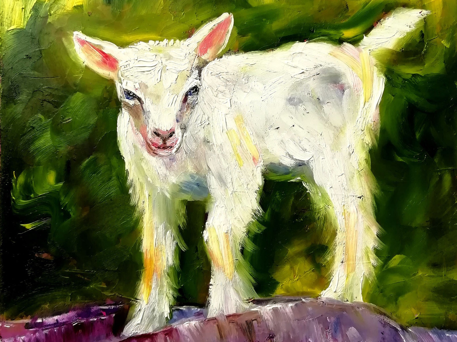 Goat Painting Animal Original Art Baby Goat Oil Painting Farm Etsy