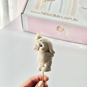 May include: A beige, textured bunny figurine on a wooden stick, wearing a small gold party hat with a polka dot pattern. The bunny has long ears, a pink nose, and a rounded body. In the background, a white box displays a rainbow and bear graphic with the text www.hellocakers.com.au.