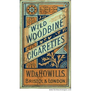 Wild Woodbine 10 Pack Cigarettes. (HD photographic print)