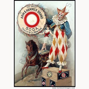 May include: Vintage advertisement for Arm & Hammer Soda featuring a clown in a harlequin suit, a horse, and a ballerina. The clown holds a large circular sign with the brand name. The ad includes the text "Church & Co. New York."