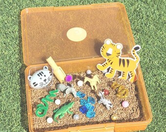 Safari Sensory Kit: Animal Adventure Toddler Gift