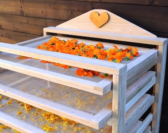 herb and mushroom dryer