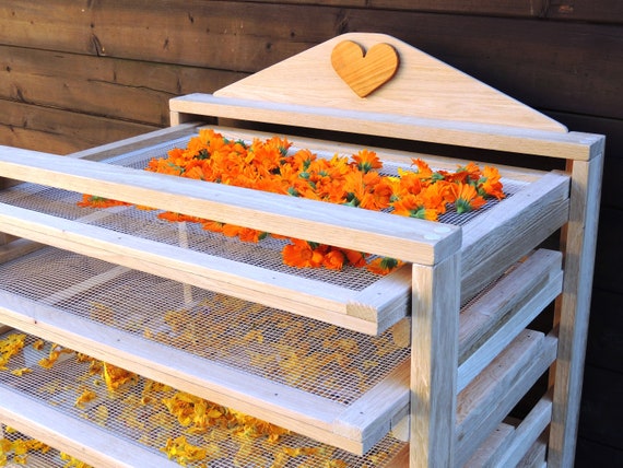 Komponist Schlägerei Werkstatt kräuter trockner Haufen von Naturpark ...