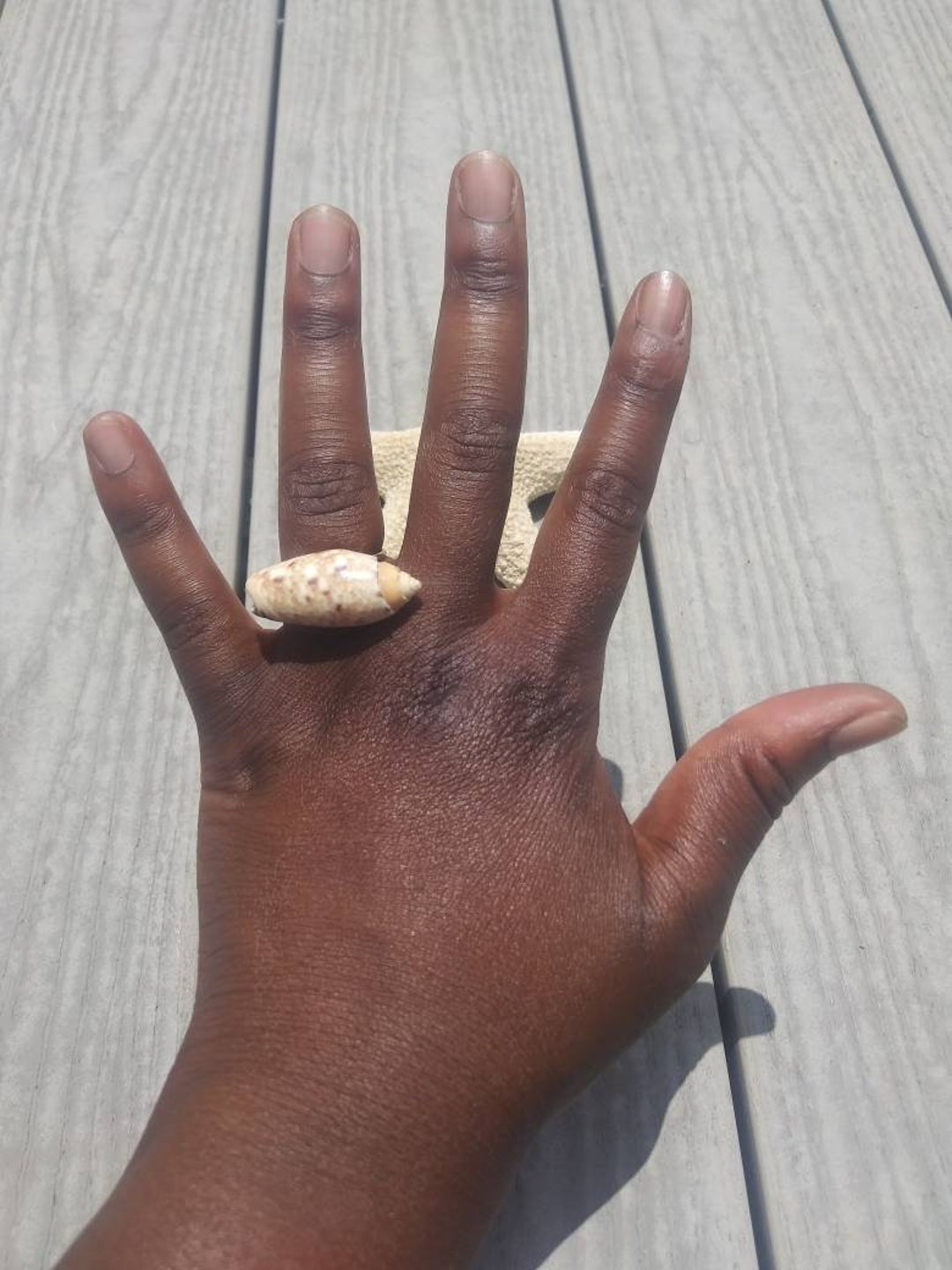 Seashell Ring. Real Seashell Ring. Shell Ring. Mermaid Ring. Etsy