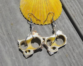 Yellow sliced shell earrings. Sliced seashell earrings. Real seashell earrings. Shell earrings. Seashell earrings. Mermaid jewelry. Shells.