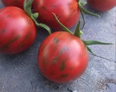 Gestreifte Cherry - gestreifte Cocktailtomate