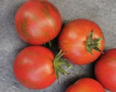 Guernsey Island - Tomatensamen