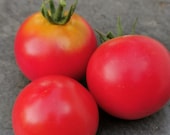 Manomachs Hut - Hut des Zaren - fruchtig-aromatische Tomate