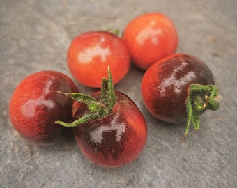 Indigo Cherry Drops - die schönste im ganzen Land