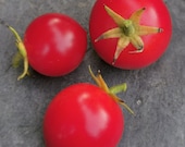 Red Virgin - kleine Fruchtbombe