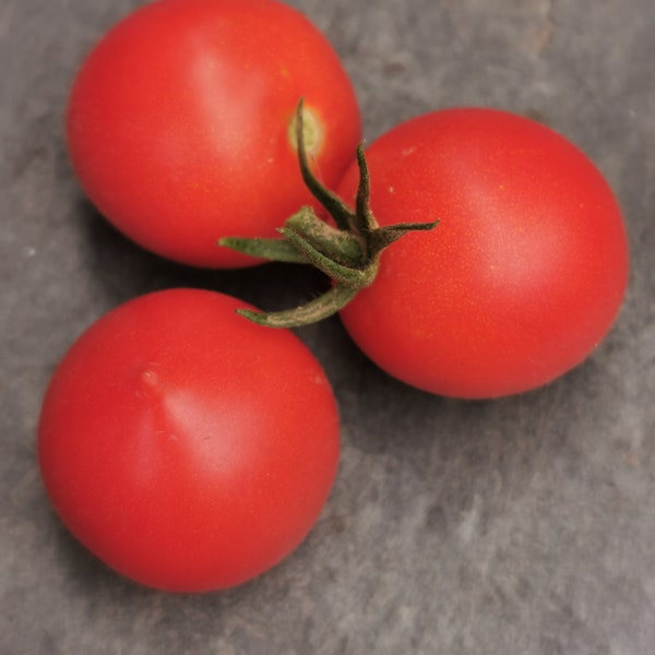 Ruthje - aromatisch-süße Tomate