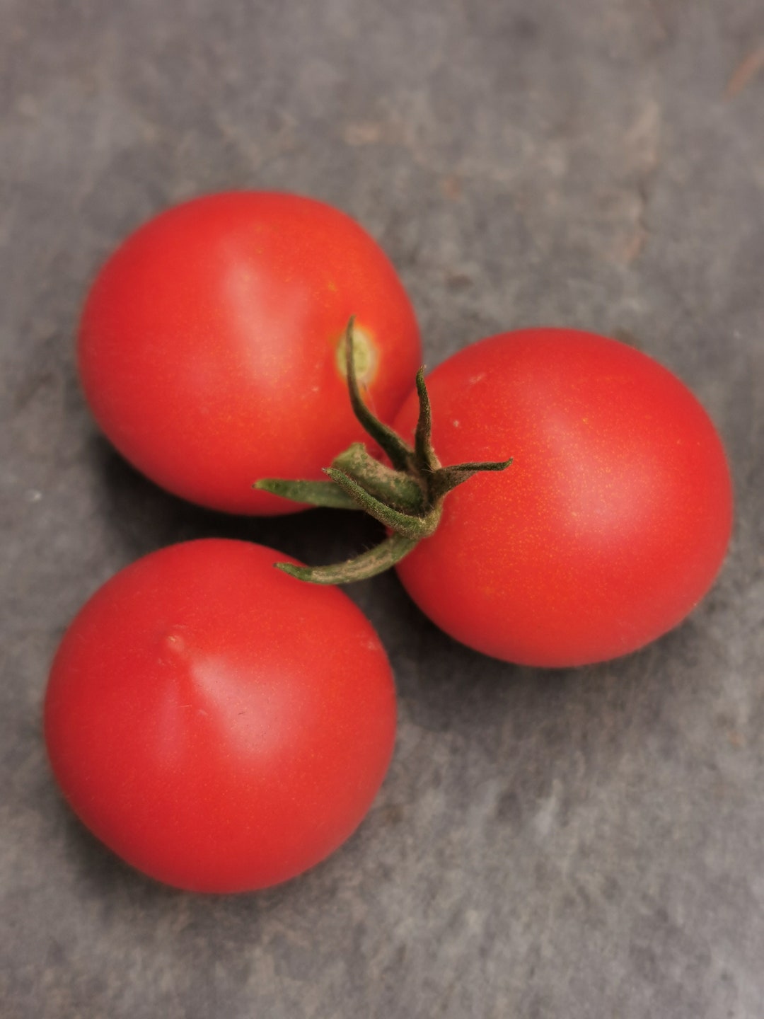 Ruthje - aromatisch-süße Tomate - Etsy.de