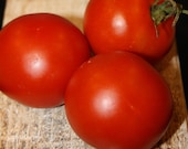 Roter Heinz - historische Tomate