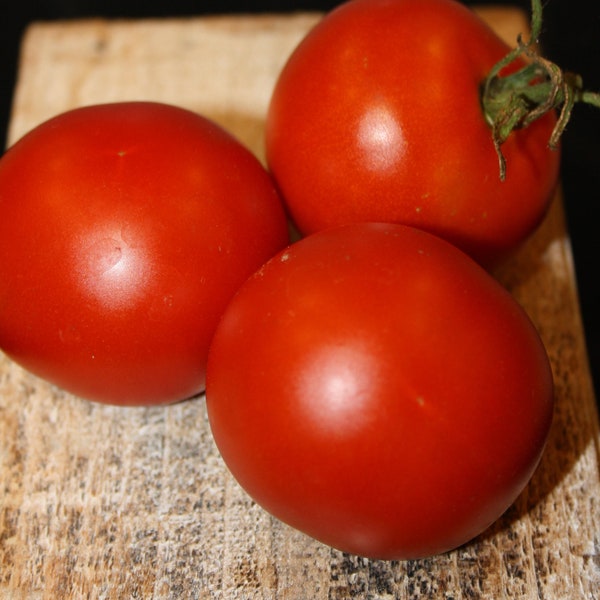 Roter Heinz - historische Tomate