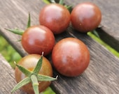Sacher - schokoladige Tomatenverführung