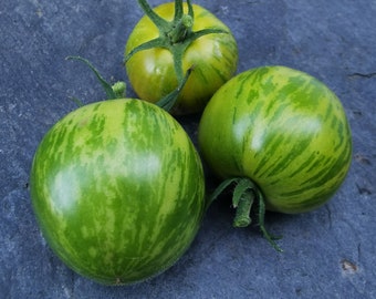 Green Zebra - grüne gestreifte Tomate