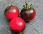 Fahrenheit Blues - schwarze Cocktailtomate mit Stern