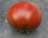 Black Russian - dunkle Fleischtomate