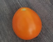 Japanische Schwarze Trüffel  orange- historische Tomate