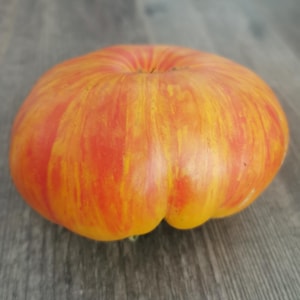 Ananas - geelrode vleestomaat