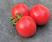 Beauty King - leckere Tomatenschönheit