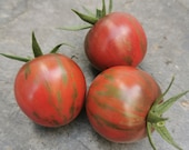 Black Vernissage - gestreifte Cocktailtomate