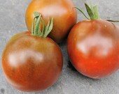 Japanische Schwarze Trüffel - historische Tomate